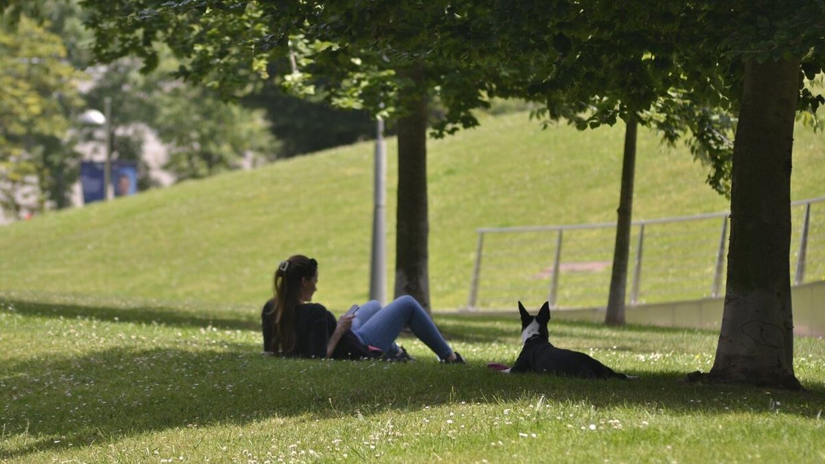 Tiempo idóneo para dar paseos por el parque