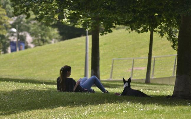 Tiempo id&oacute;neo para dar paseos por el parque