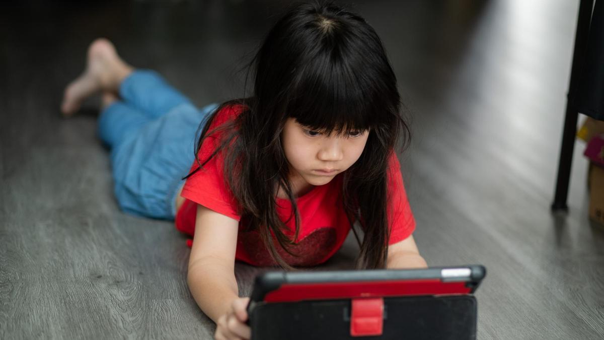 A muchos padres le preocupa el acceso lo que sus hijos puedan encontrarse en internet, por lo que optan por instalar aplicaciones de control parental.