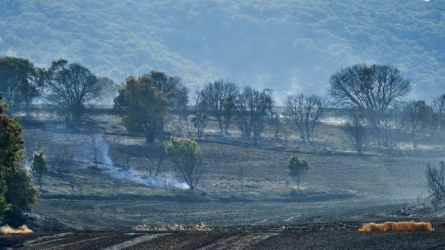 Las altas temperaturas disparan el riesgo de incendios