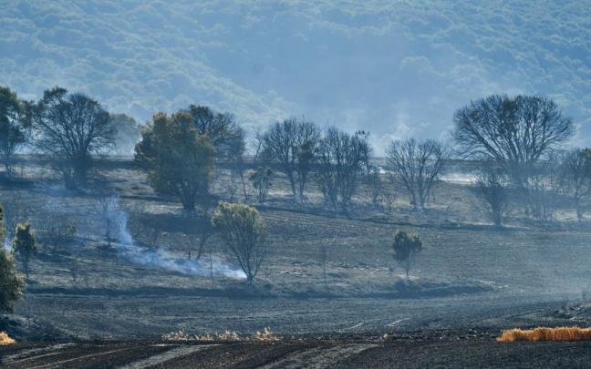 Las altas temperaturas disparan el riesgo de incendios