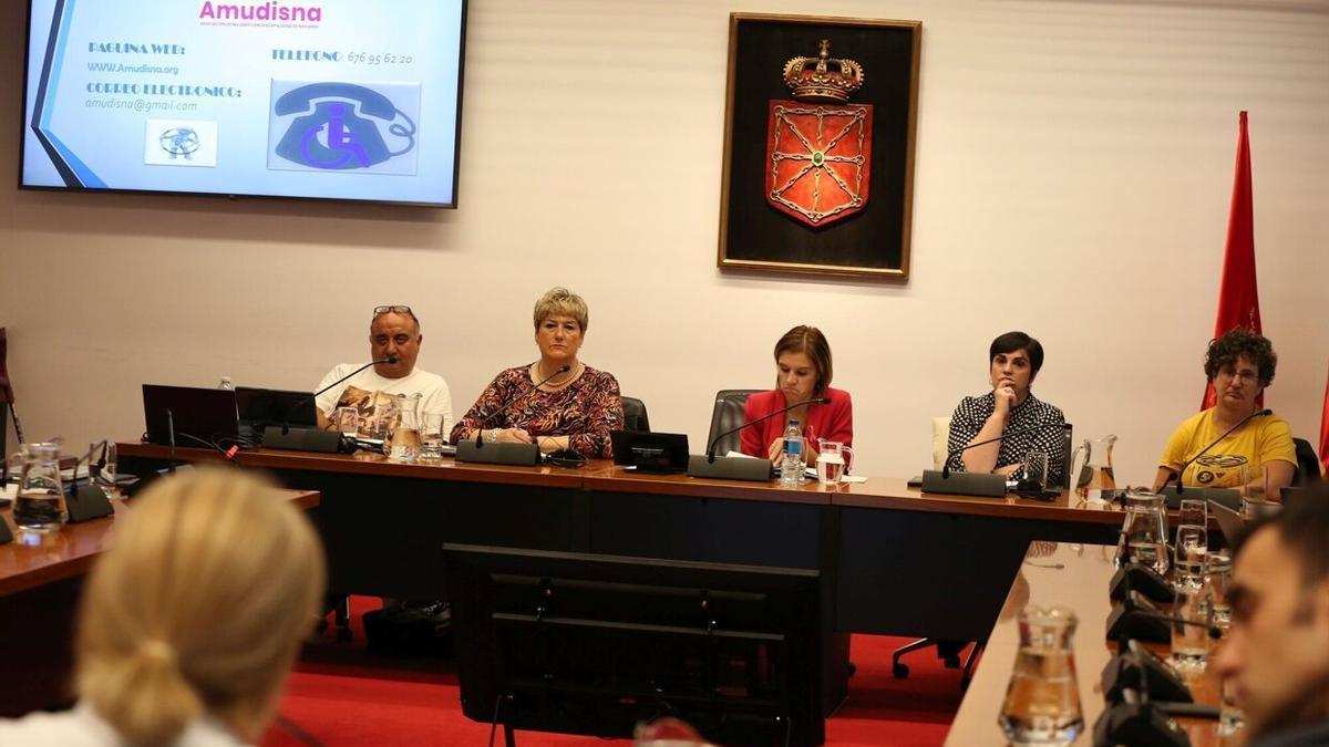 Representantes de Amudisna, ayer en la Comisión de Salud del Parlamento.