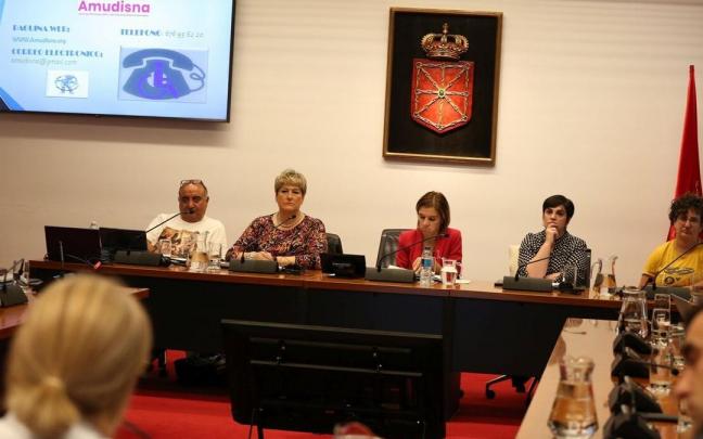 Representantes de Amudisna, ayer en la Comisi&oacute;n de Salud del Parlamento.