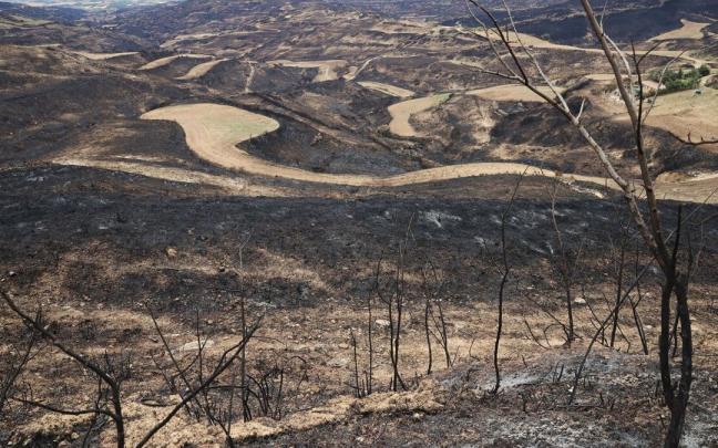 Vista de la zona quemada desde Ujue.