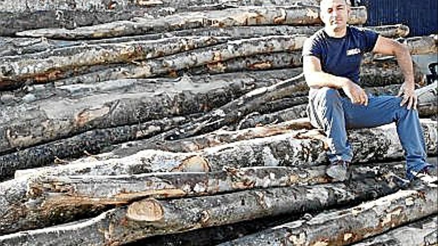 entre leña anda el fuego