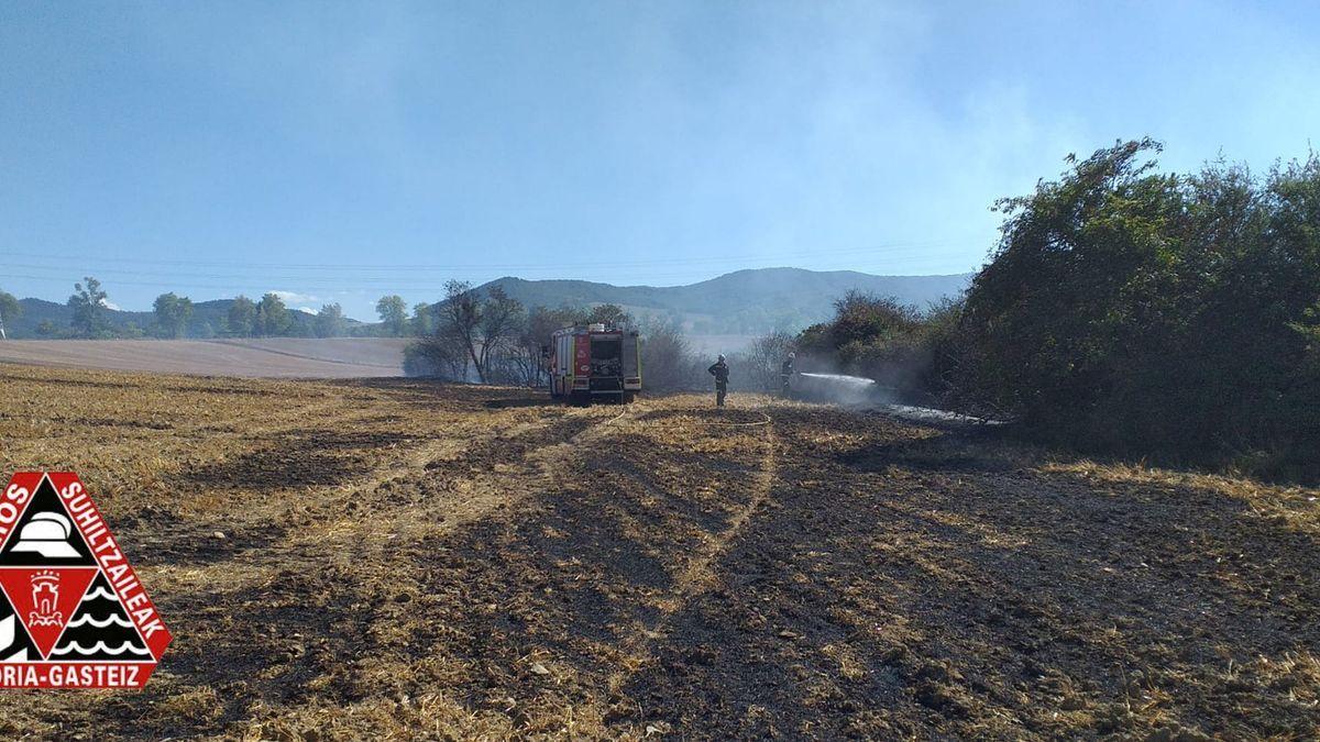 Incendio en el Alto de Uleta.