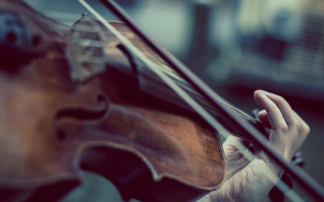 Imagen de recurso de un viol&iacute;n