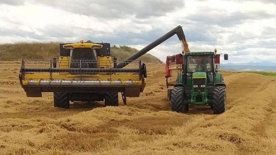 Trabajo de cosecha de cereal en Álava.