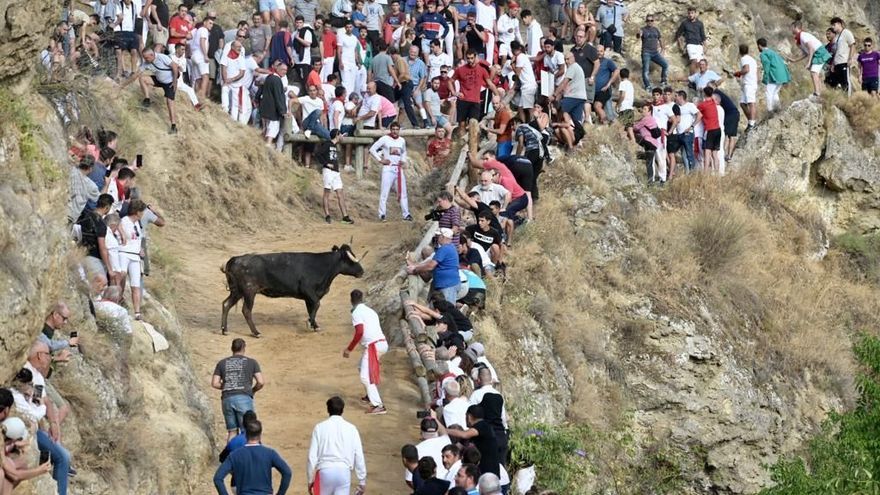 Imagen del último encierro del Pilón.