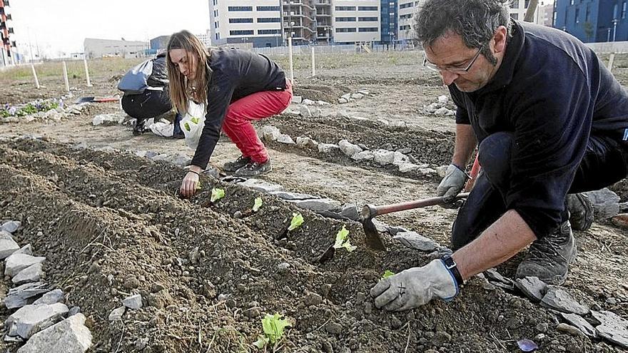 La cita del arte vasco emergente