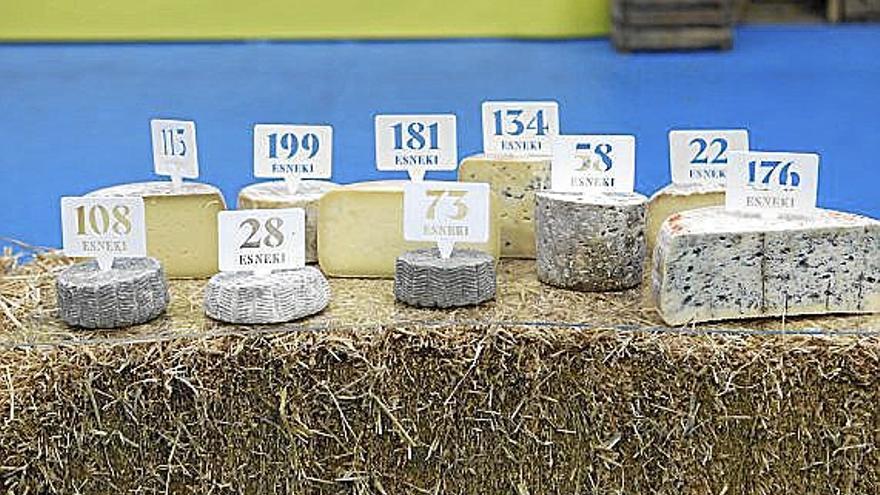 Los quesos presentados a concurso.