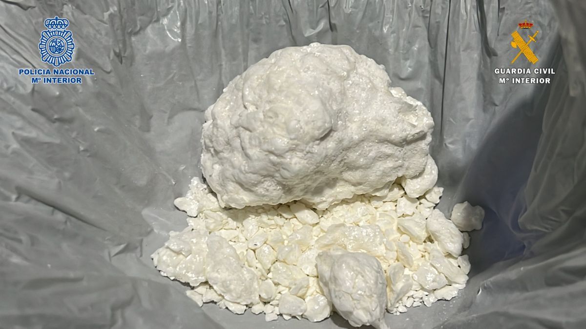 droga incautada en la operación llevada a cabo por Policía Nacional y Guardia Civil