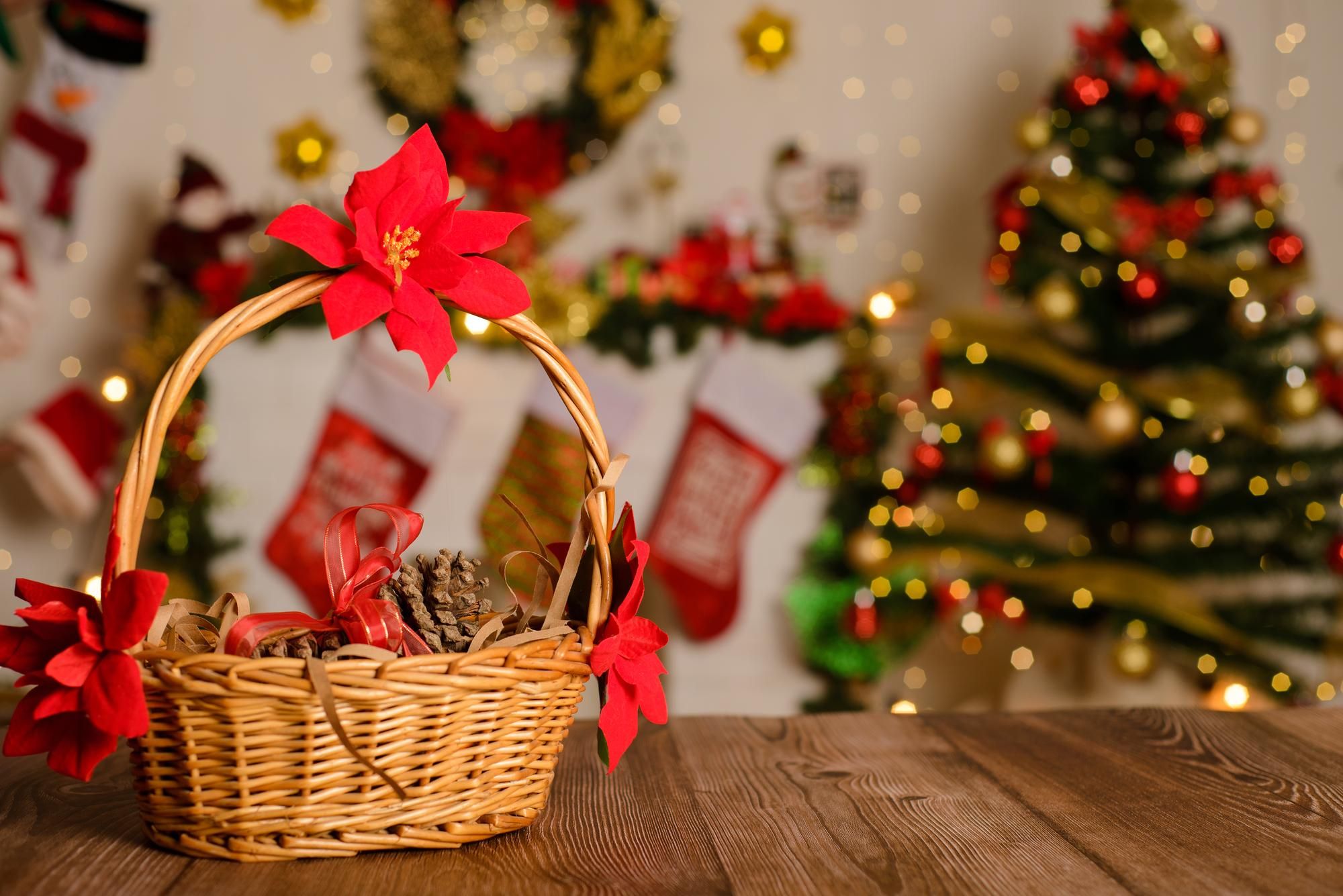 Hojas de Ponsettia decoran un cesto de mimbre.