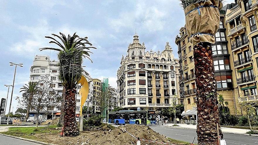 Cuatro palmeras más para la plaza de Euskadi