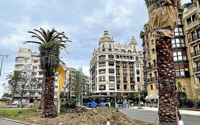 Cuatro palmeras m&aacute;s para la plaza de Euskadi