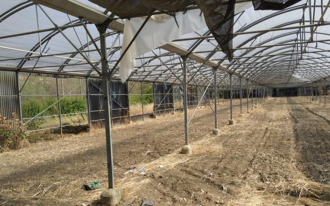 Obras preventivas en Aranzadi.