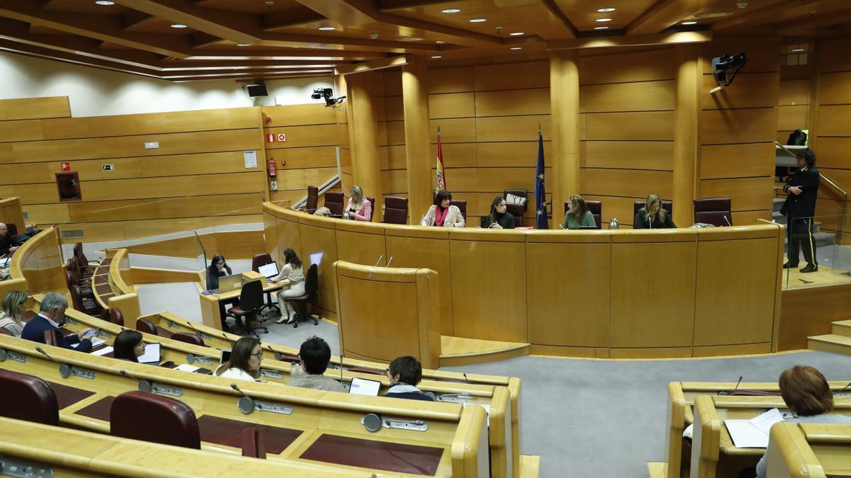 Reunión de la comisión de Igualdad del Senado en Madrid este miércoles.