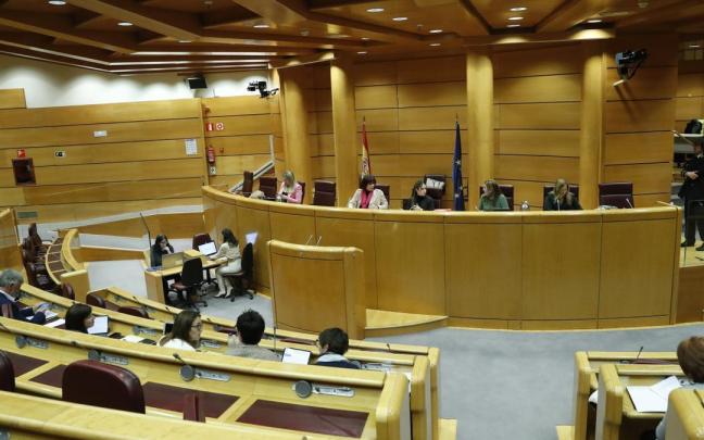 Reunión de la comisión de Igualdad del Senado en Madrid este miércoles.