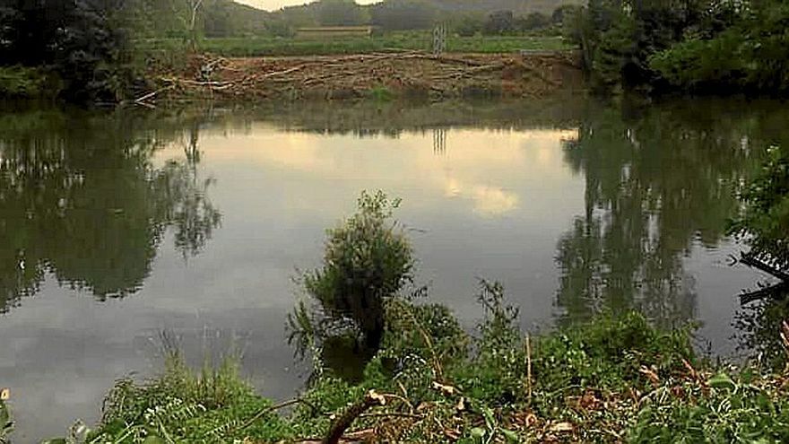 Orilla del río Ebro a su paso por Baños con los árboles talados.