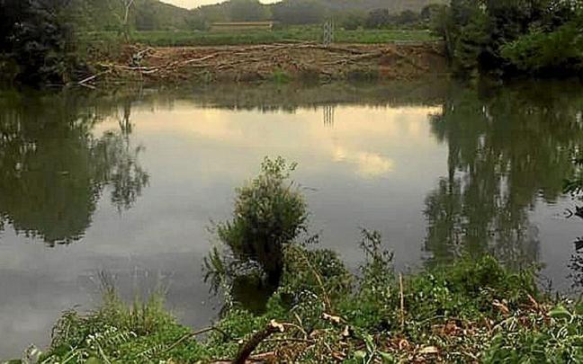 Orilla del río Ebro a su paso por Baños con los árboles talados.