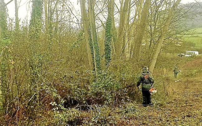 Dos personas participantes en un plan de empleo en Amurrio haciendo labores de limpieza forestal. Dos personas participantes en un plan de empleo en Amurrio haciendo labores de limpieza forestal.