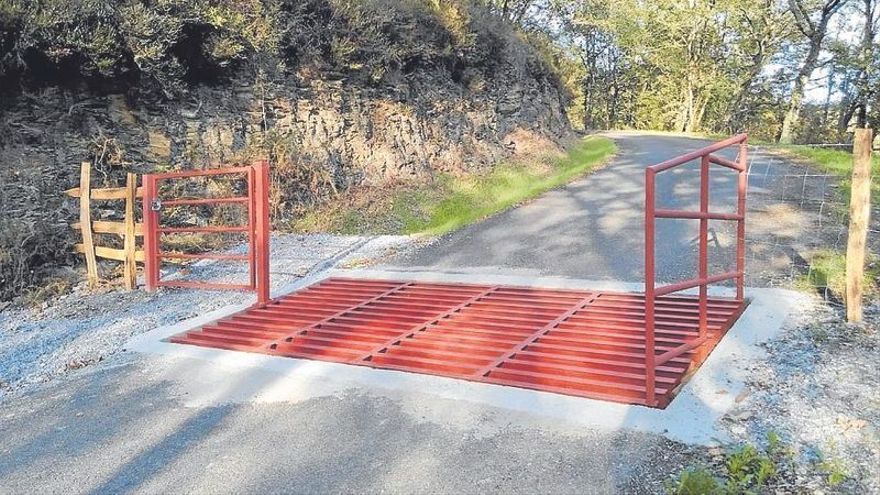 Nuevo paso canadiense en Lizuniaga, para evitar la salida de ganado a la carretera