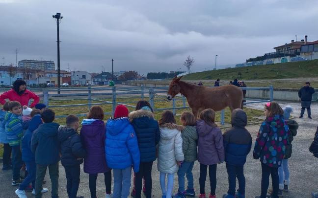 Alumnos y alumnas de la Ikastola Garcés de los Fayos observan a 'Pelegrina' la única mula de la feria caballar.