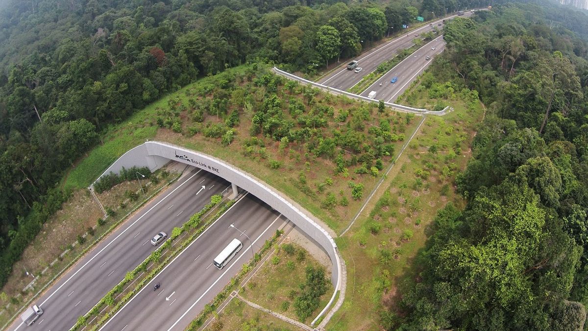 El ecoducto que plantea en Etxarri podría ser similar a este de Singapur.