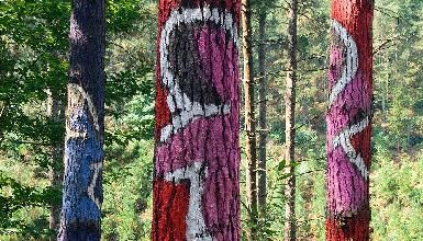 Una de las obras de arte del bosque de Oma.