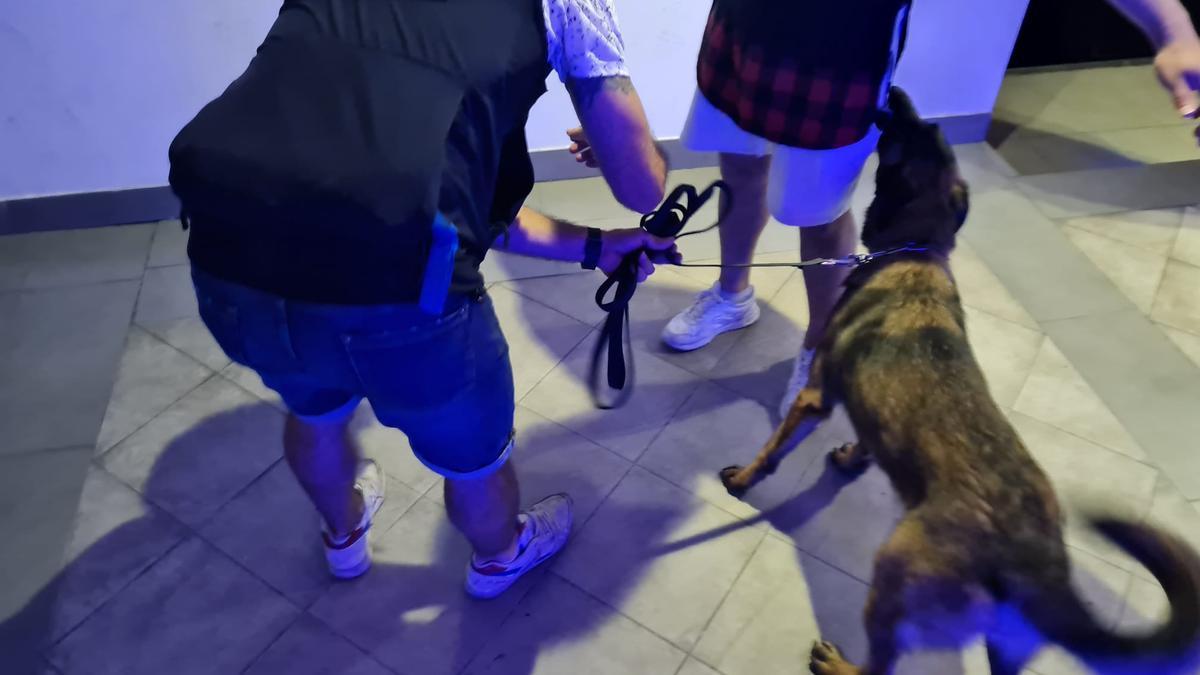 Equipo de Guías Caninos de Pamplona para la ayuda en la detección de drogas y sustancias estupefacientes.