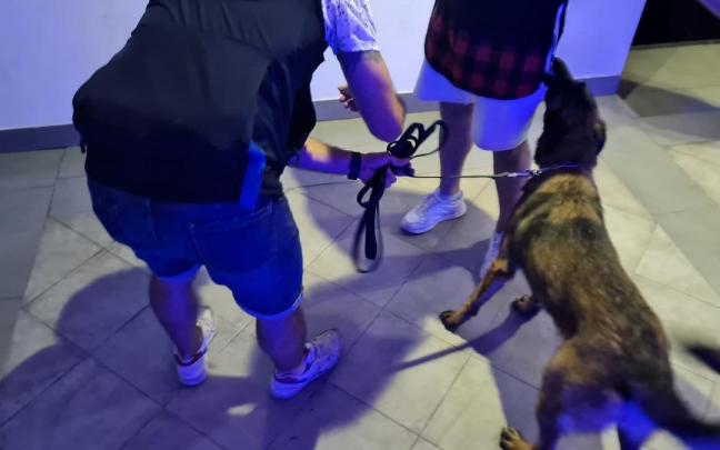 Equipo de Gu&iacute;as Caninos de Pamplona para la ayuda en la detecci&oacute;n de drogas y sustancias estupefacientes.