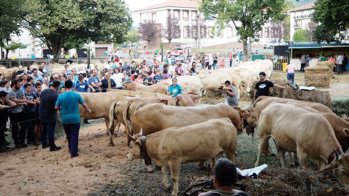 Mucha gente volverá, tres años después, a Merkatuko Plaza este fin de semana.