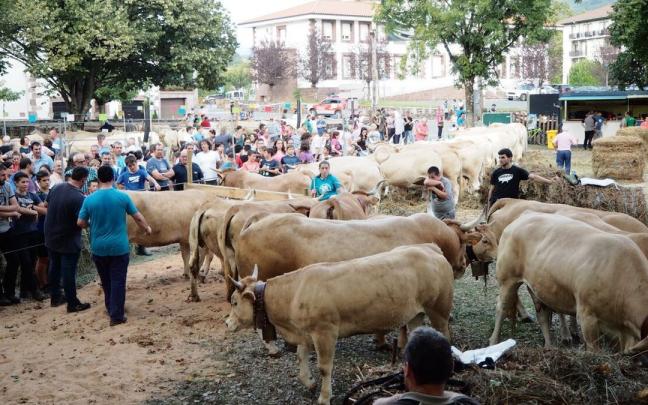 Mucha gente volverá, tres años después, a Merkatuko Plaza este fin de semana. Mucha gente volverá, tres años después, a Merkatuko Plaza este fin de semana.
