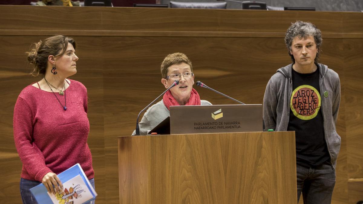 Gotzone Sestorain durante una intervención en el Parlamento de Navarra.