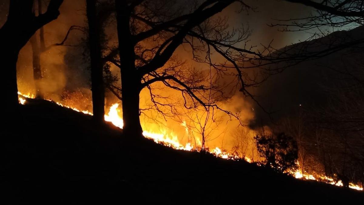 Uno de los incendios forestales declarados esta semana.