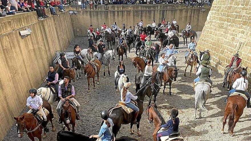 Más de 200 jinetes y amazonas participaron en la trashumancia.