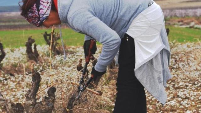 Los trabajadores del campo, los más beneficiados por la subida del SMI.