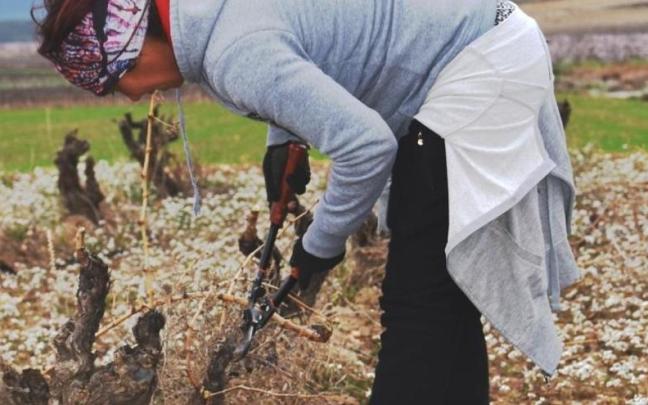 Los trabajadores del campo, los m&aacute;s beneficiados por la subida del SMI.