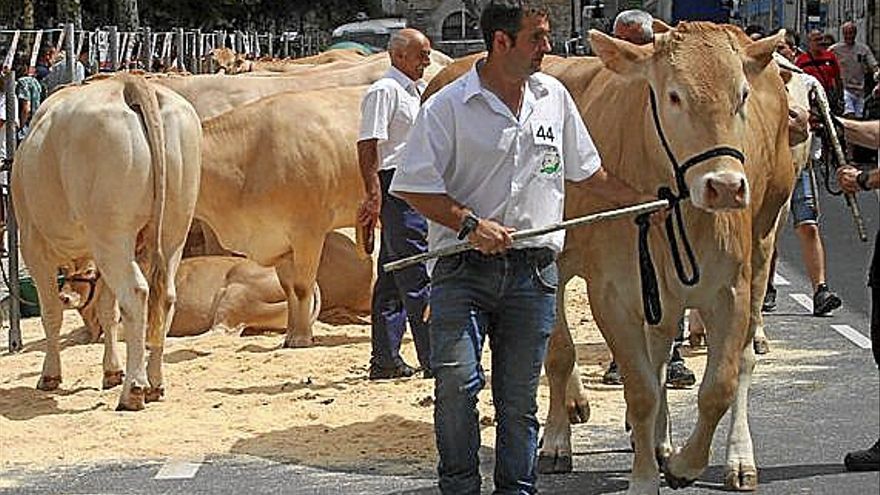 Euskadiko XXV. Blonda txapelketaren une bat.
