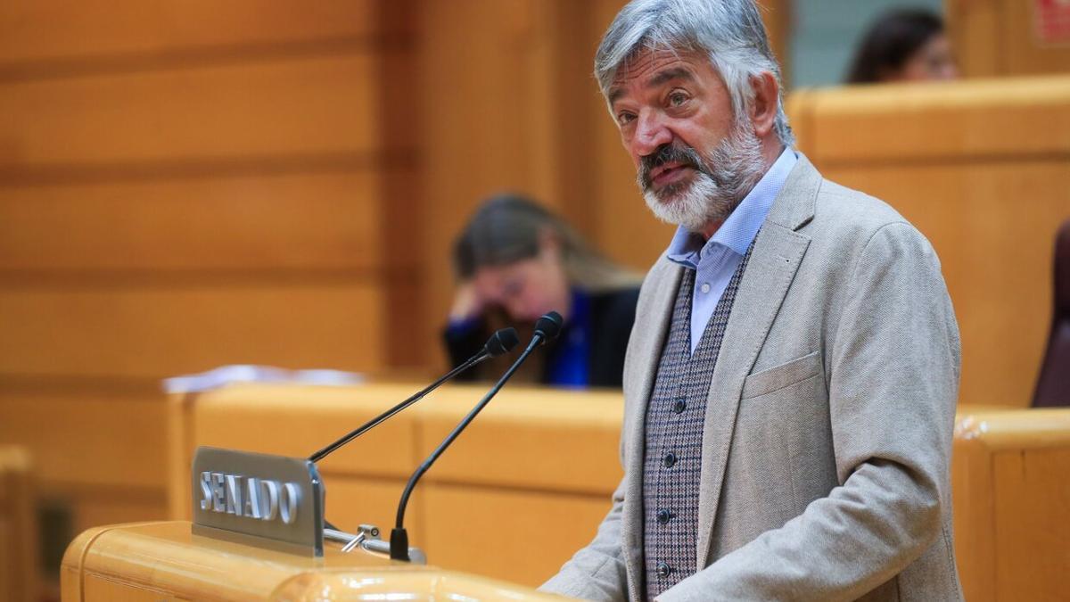 Koldo Martínez interviene en una sesión del Senado