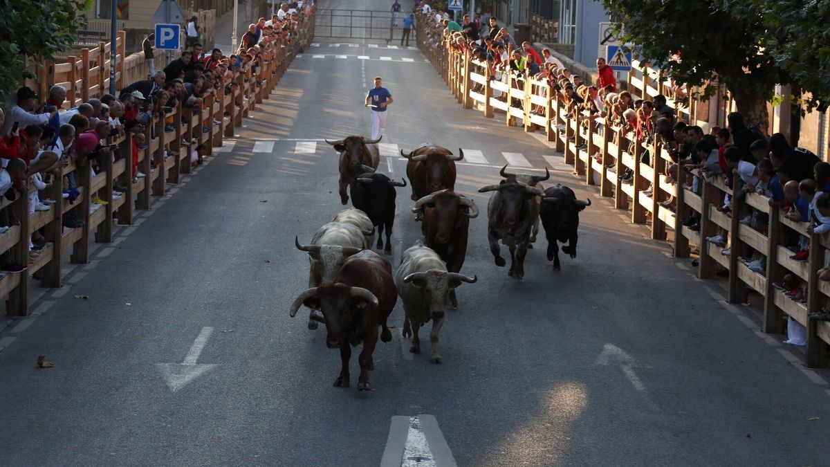 Encierrillo este lunes por la mañana en Tafalla previo al encierro.