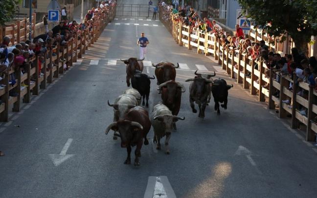 Encierrillo este lunes por la mañana en Tafalla previo al encierro.