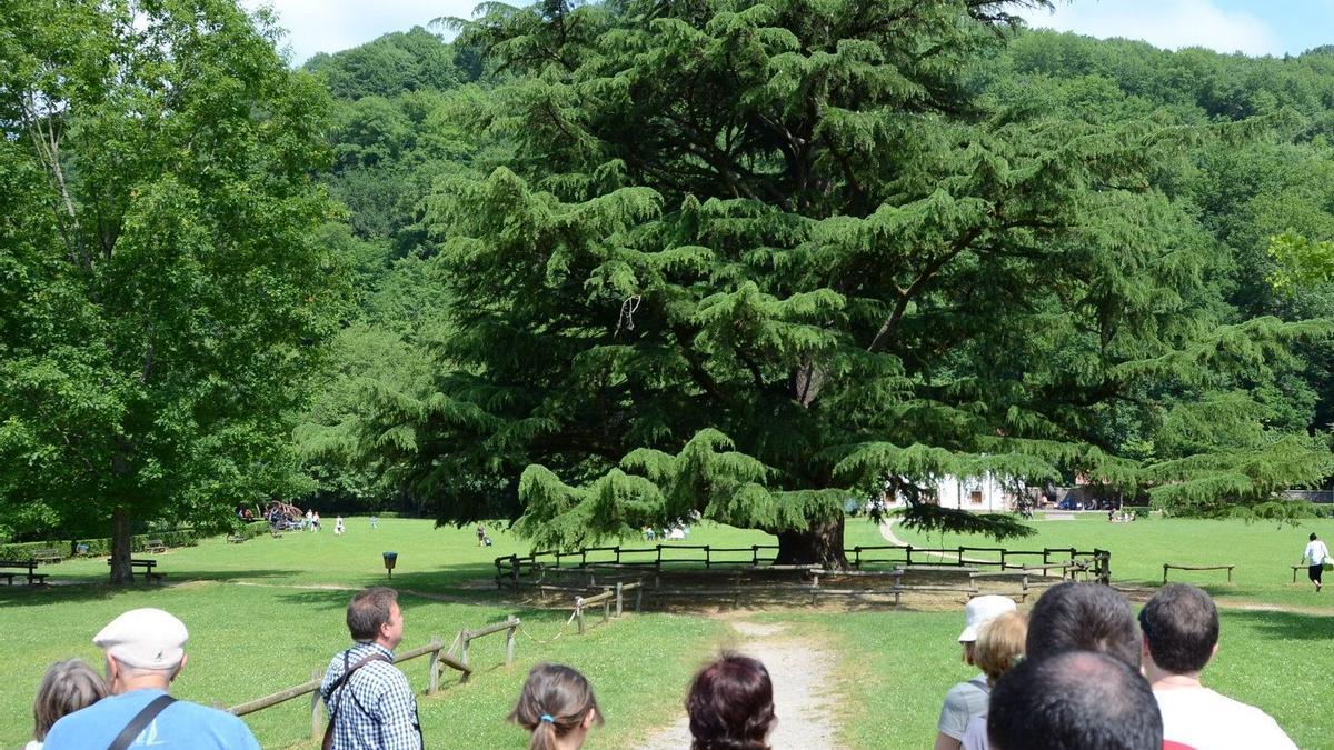 Participantes en una visita al parque de Bertiz, en una imagen de archivo,