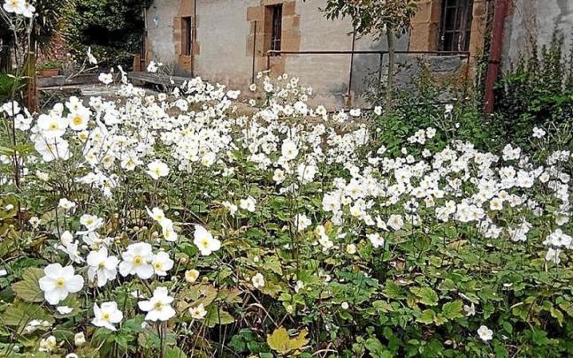 Jardín del Convento de San José de Zumaia. | FOTO: BALEIKE