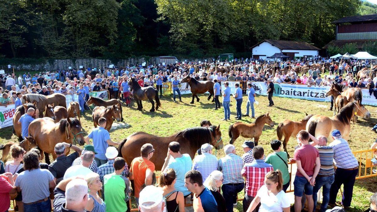 Urdazubi acogió a mucha gente que no se quiso perder el XII Concurso caballar de raza Burguete.