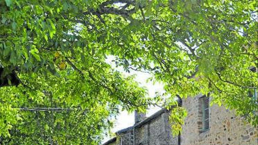 Imagen de archivo de la romer&iacute;a de Barria.