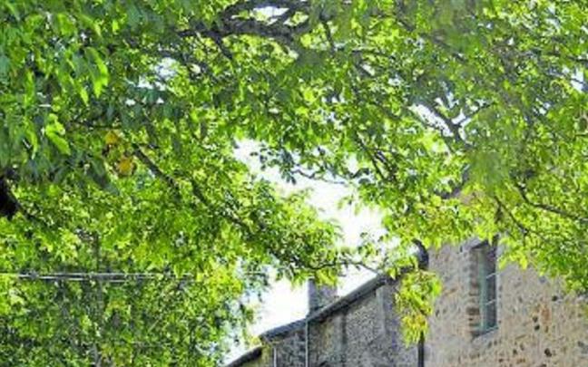 Imagen de archivo de la romer&iacute;a de Barria.