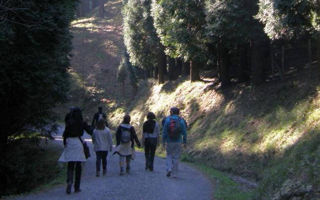 Kutxabank concluirá el año plantando 100.000 árboles.