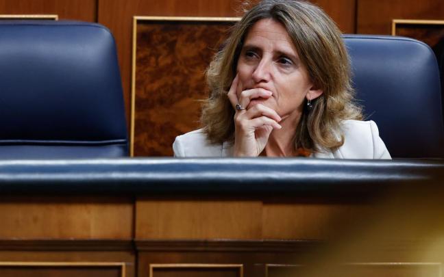 La vicepresidenta tercera y ministra para la Transición Ecológica, Teresa Ribera. La vicepresidenta tercera y ministra para la Transición Ecológica, Teresa Ribera.