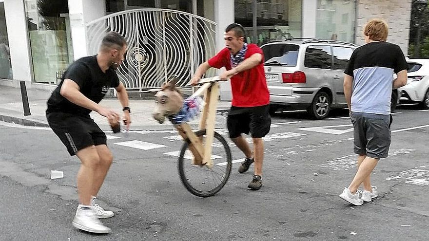 Aritz Irigoien persigue con el burro a otro joven. | FOTO: N.G.